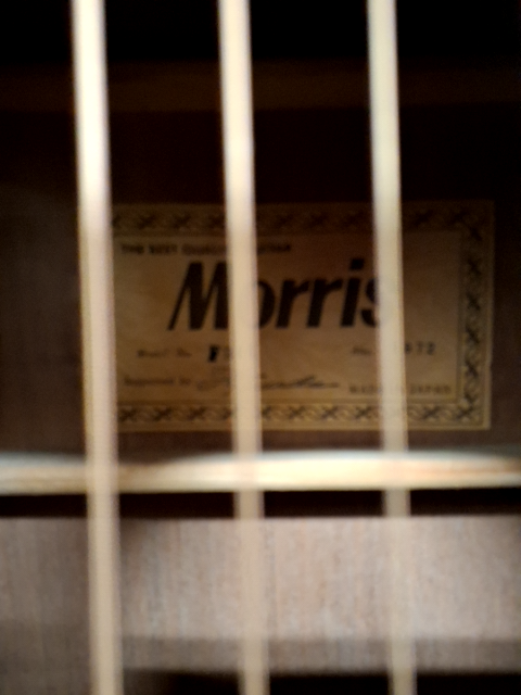 Morissette Giutar Type:F 301